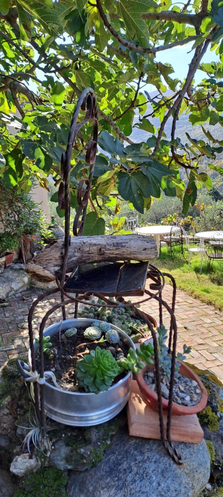 B&B L' Antica Macina 奎里阿诺 外观 照片