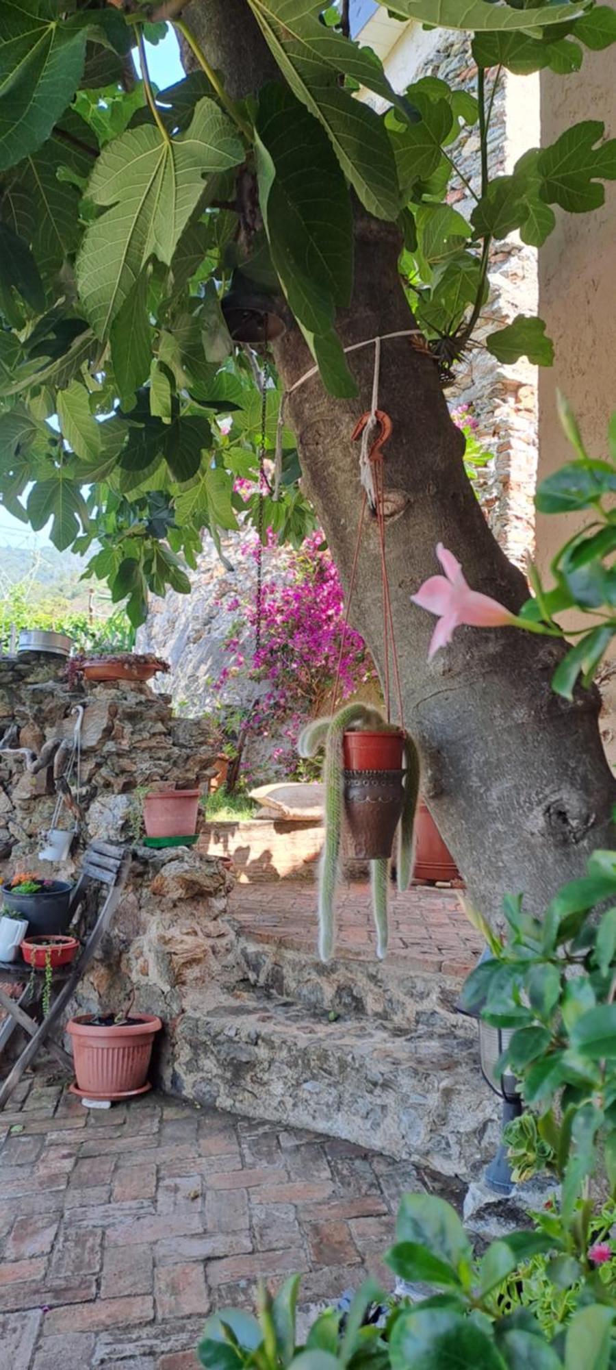 B&B L' Antica Macina 奎里阿诺 外观 照片