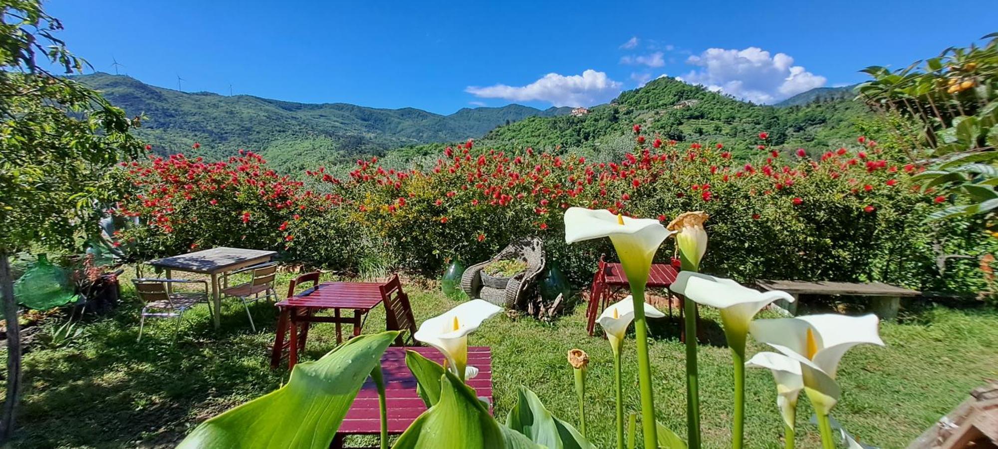 B&B L' Antica Macina 奎里阿诺 外观 照片