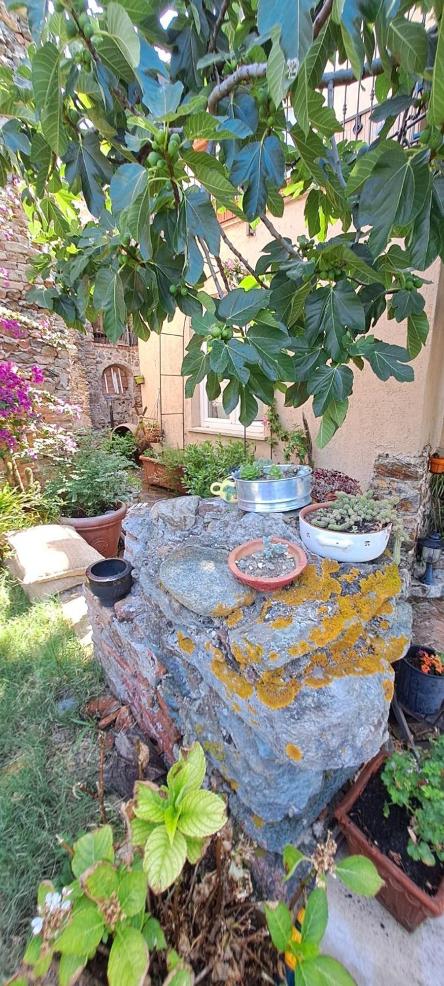 B&B L' Antica Macina 奎里阿诺 外观 照片