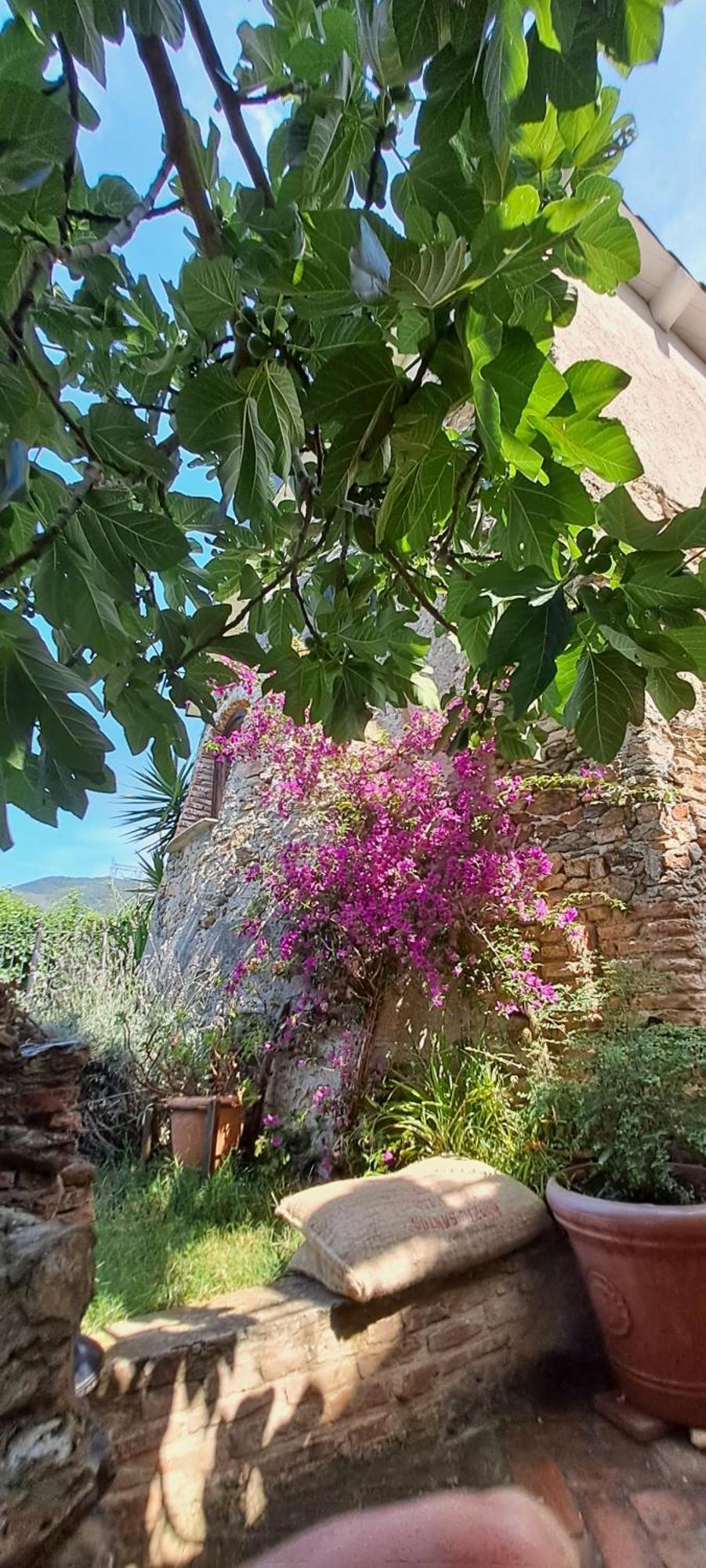 B&B L' Antica Macina 奎里阿诺 外观 照片