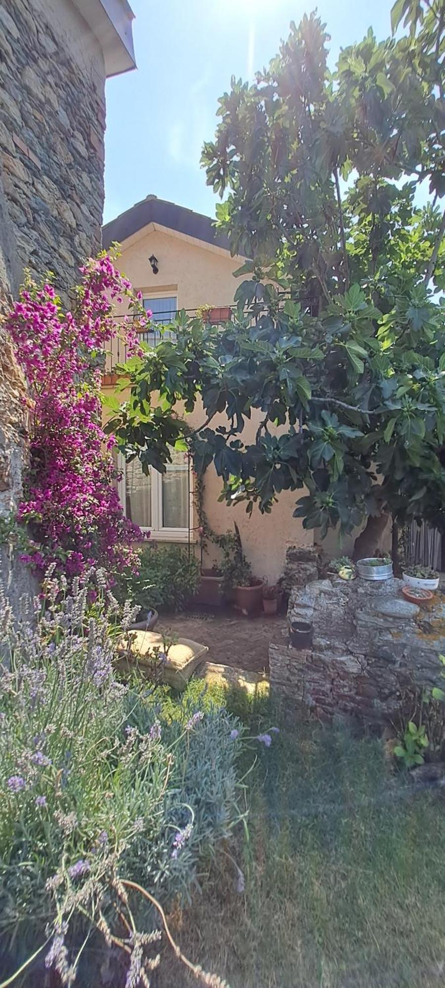 B&B L' Antica Macina 奎里阿诺 外观 照片